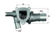 FIAT 60556559 Thermostat, coolant